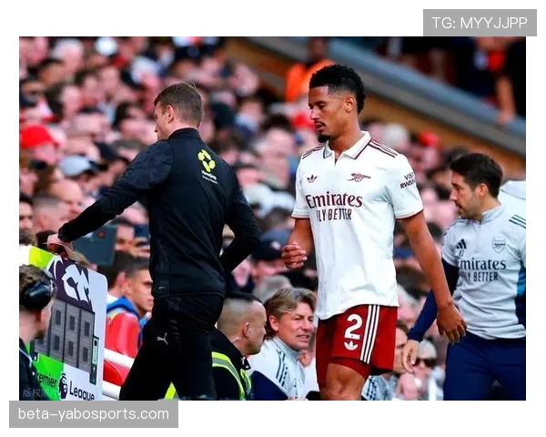 阿森纳防线暴露问题 萨利巴折射失球折射防守漏洞